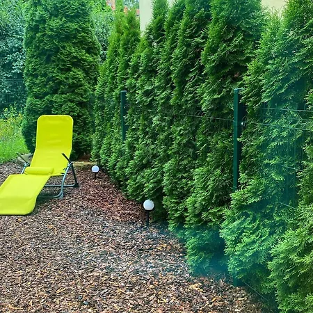 아파트 Komandorska