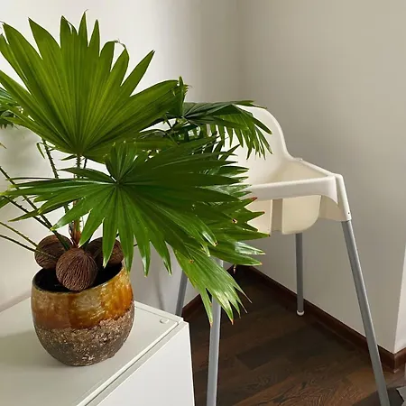 아파트 Komandorska