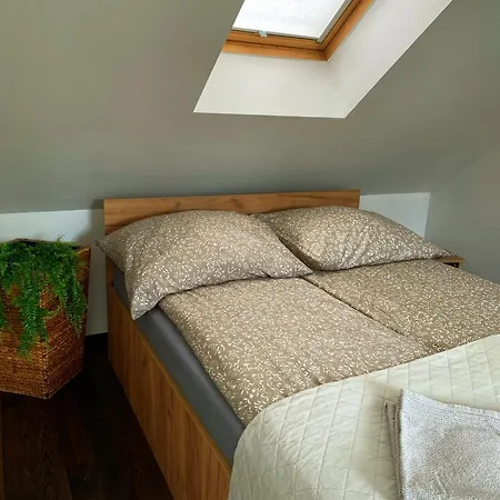 Komandorska 슈비노우이스쳬